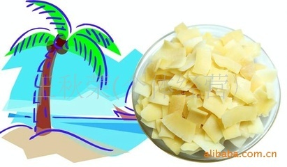 品味南國椰香 正宗蘇梅香脆椰子片的魅力與市場機遇